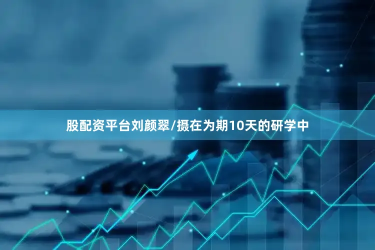 股配资平台刘颜翠/摄在为期10天的研学中