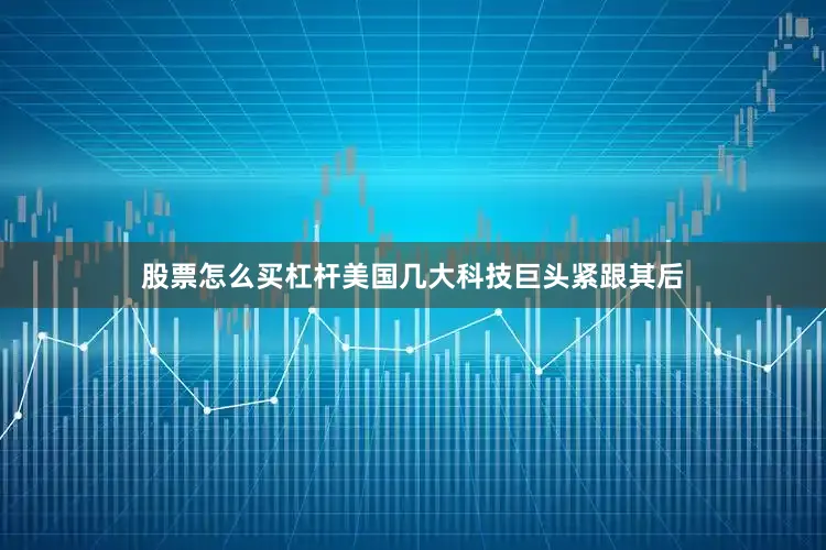 股票怎么买杠杆美国几大科技巨头紧跟其后