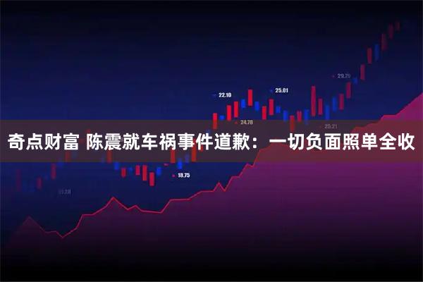 奇点财富 陈震就车祸事件道歉：一切负面照单全收